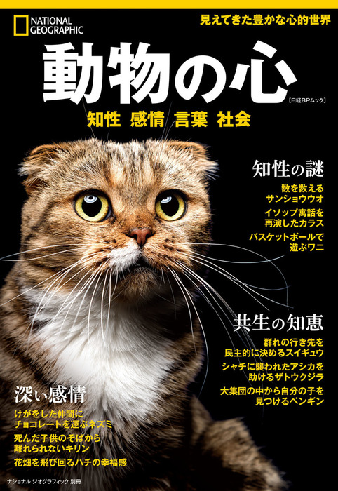 ナショナル ジオグラフィック別冊 動物の心 実用 ナショナル ジオグラフィック 電子書籍試し読み無料 Book Walker