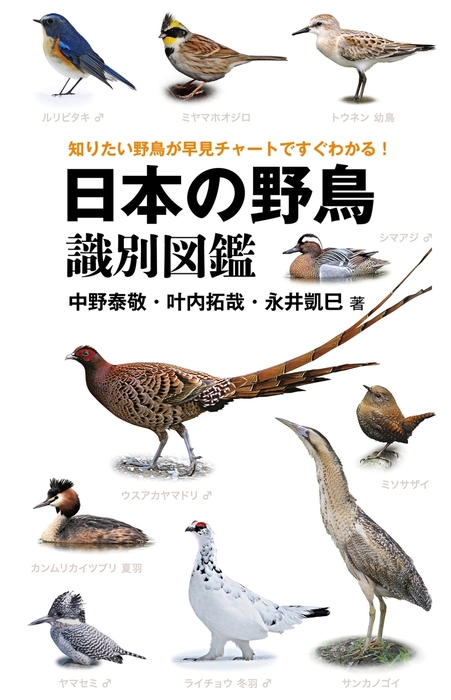 自然散策が楽しくなる! 見わけ・聞きわけ 野鳥図鑑 - ノンフィクション