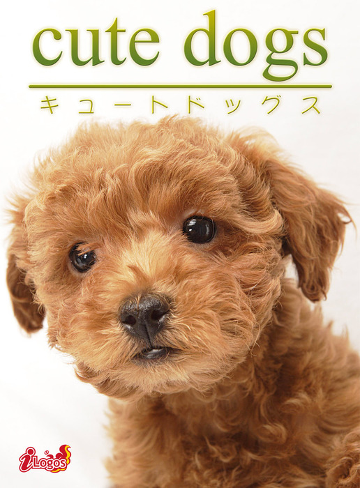 トイプードル 写真集 cute dogs10 トイプードル - 写真集 アキバ書房：電子書籍試し読み無料
