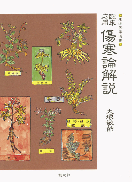 臨床応用 漢方処方解説:増補改訂版 (東洋医学選書)