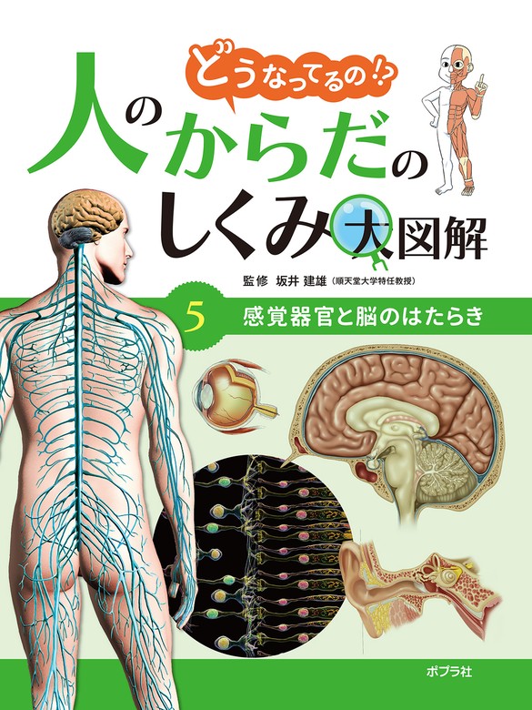 言語はこうして生まれる 「即興する脳」とジェスチャーゲーム／モーテン・Ｈ・クリスチャンセン／ニック・チェイター／塩原通緒