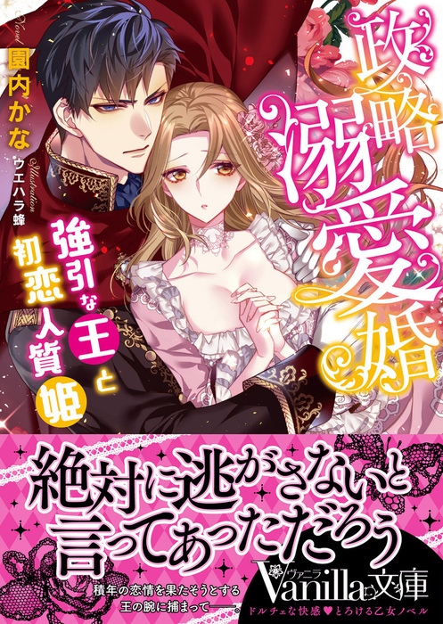 独占王の身代わり花嫁☆園内かな＝ヴァニラ文庫 - 文学、小説