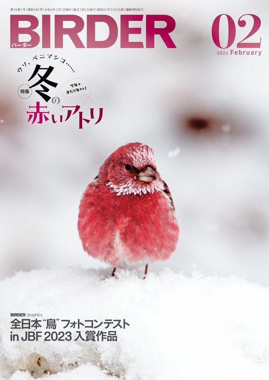 BIRDER2024年2月号 - 実用 BIRDER編集部：電子書籍試し読み無料 - BOOK