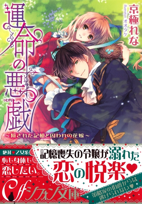 運命の悪戯 隠された記憶と囚われの花嫁 イラスト付き完全版 ライトノベル ラノベ 京極れな オオタケ 集英社シフォン文庫 電子書籍試し読み無料 Book Walker