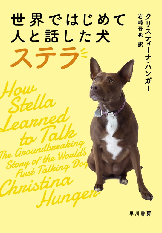 世界ではじめて人と話した犬 ステラ - 実用 クリスティーナ ハンガー