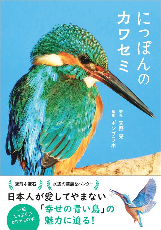 にっぽんのカワセミ 実用 矢野亮 ポンプラボ 電子書籍試し読み無料 Book Walker