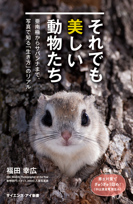 それでも美しい動物たち 亜南極からサバンナまで 写真で知る 生き方 のリアル 新書 福田幸広 サイエンス アイ新書 電子書籍試し読み無料 Book Walker