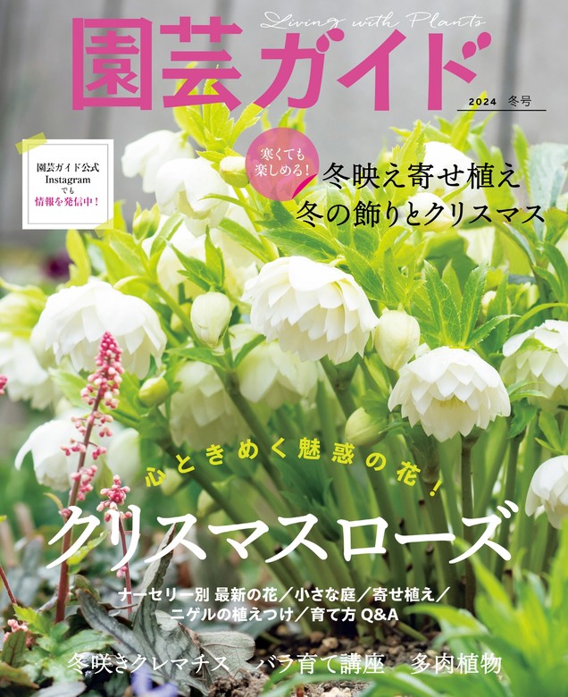 美しく、長く楽しむはじめての花の寄せ植え [本]