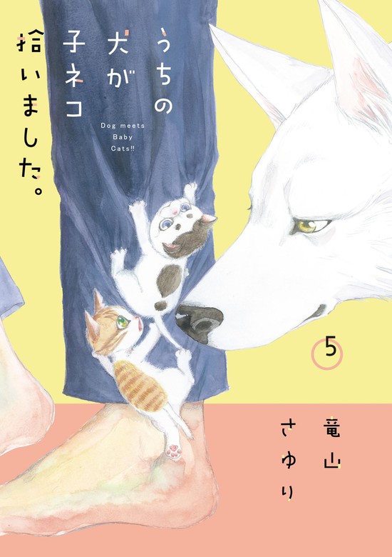 うちの犬が子ネコ拾いました。 1.2 - 女性漫画