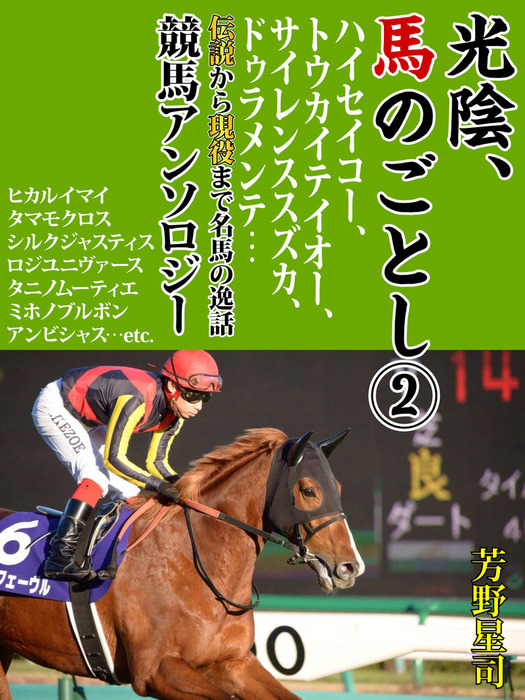 伝説の名馬 ハイセイコー 馬券 【公式通販】