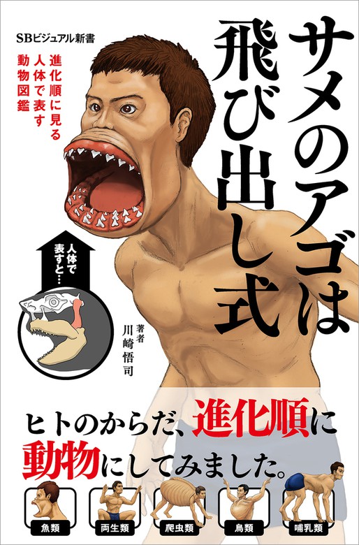 最新刊 サメのアゴは飛び出し式 進化順に見る人体で表す動物図鑑 新書 川崎悟司 ｓｂビジュアル新書 電子書籍試し読み無料 Book Walker