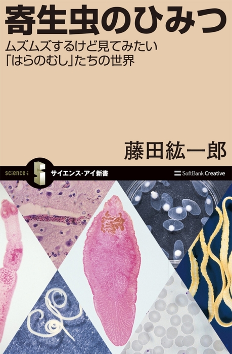 寄生虫のひみつ - 新書 藤田紘一郎（サイエンス・アイ新書）：電子書籍