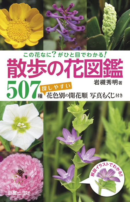 子どもに教えてあげられる 散歩の草花図鑑