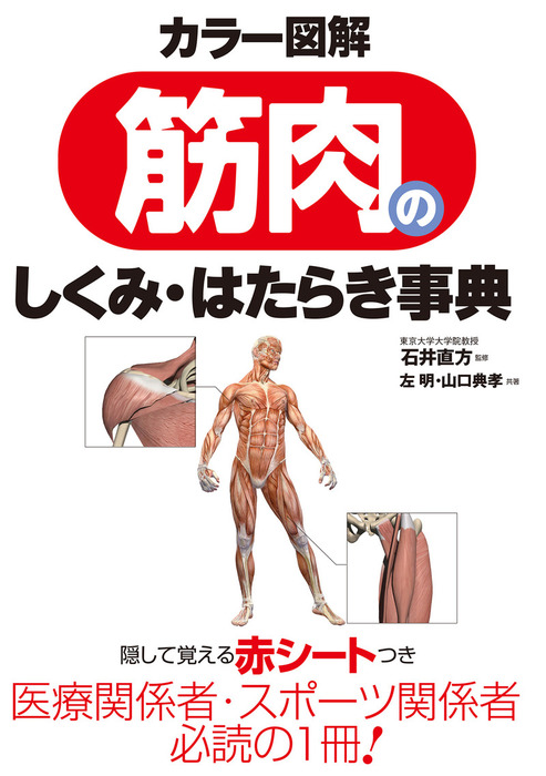 カラー図解 筋肉のしくみ・はたらき事典 - 実用 石井直方：電子