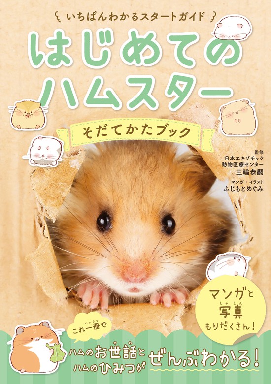 かわいいウサギ飼い方・育て方 : 初めてでも仲よくなれる! - その他