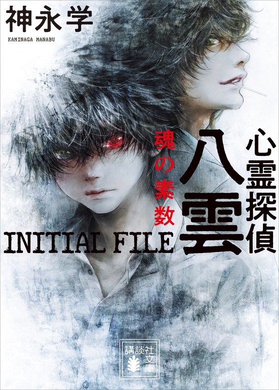 心霊探偵八雲 ＩＮＩＴＩＡＬ ＦＩＬＥ 魂の素数 - 文芸・小説 神永学