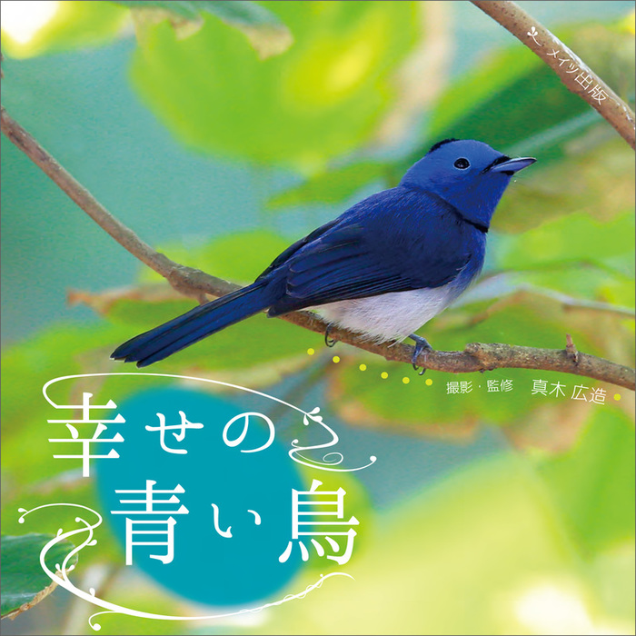 80  ❤️  幸せの青い鳥　(stay home)試作品 - 1