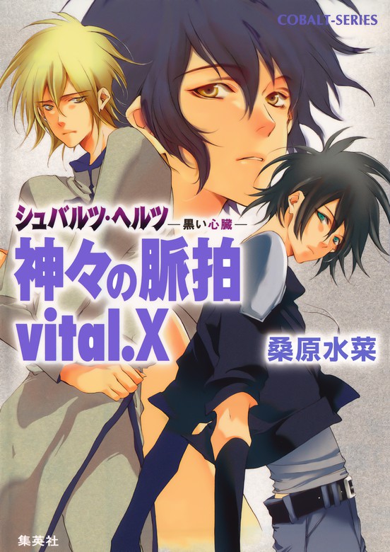 シュバルツ・ヘルツ ―黒い心臓― ９ 神々の脈拍 vital.Ｘ - 文芸・小説