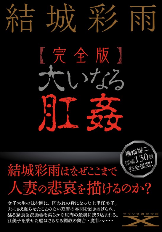 結城彩雨 フランス書院文庫 新書 11冊 - 外国映画