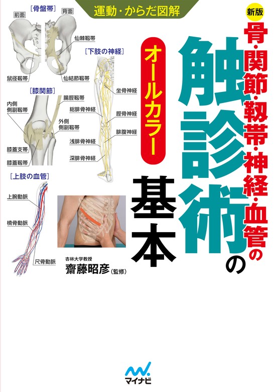 運動・からだ図解 骨・関節・靭帯・神経・血管の触診術の基本【新版】 - 実用 齋藤昭彦：電子書籍試し読み無料 - BOOK☆WALKER -