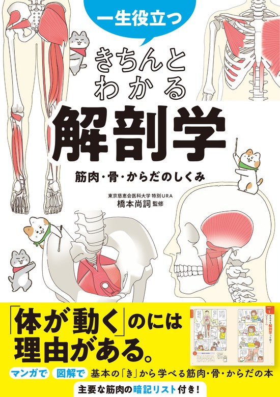 一生役立つ！ きちんとわかる解剖学 筋肉・骨・からだのしくみ - 実用 橋本尚詞：電子書籍試し読み無料 - BOOK☆WALKER -