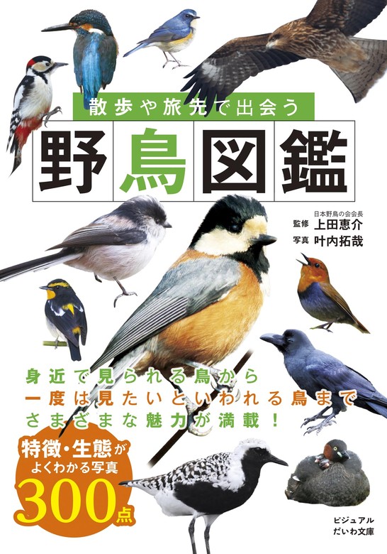 日本野鳥生態図鑑 2冊セット - 語学・辞書・学習参考書