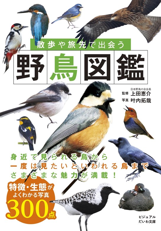 自然散策が楽しくなる! 見わけ・聞きわけ 野鳥図鑑 - 鳥雑貨