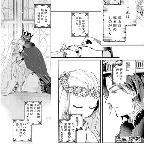 白い結婚 ‐王と王妃の恋ものがたり‐