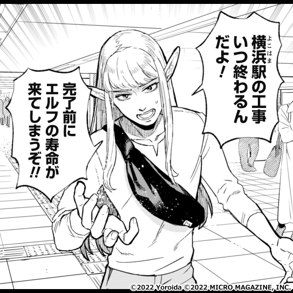 #神奈川に住んでるエルフ