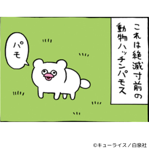 絶滅寸前の動物 ハッチンパモス 1巻』をレビュー｜書店員が激推し