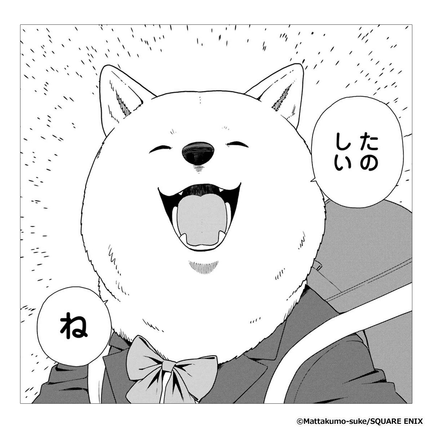 犬田さん』をレビュー｜書店員が激推し！おすすめ新作マンガ