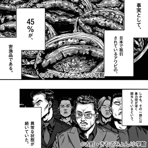 ヒソカニアサレ