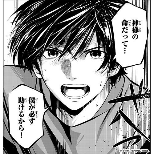 神獣医』をレビュー｜書店員が激推し！おすすめ新作マンガ