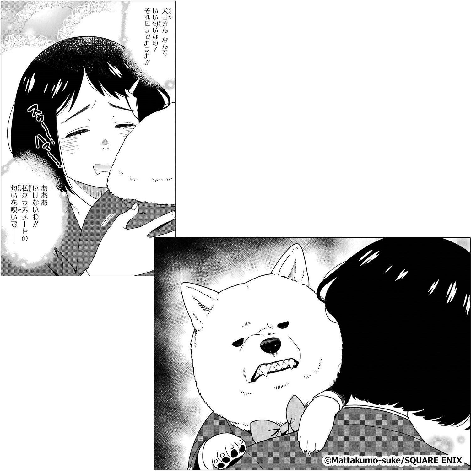 犬田さん』をレビュー｜書店員が激推し！おすすめ新作マンガ