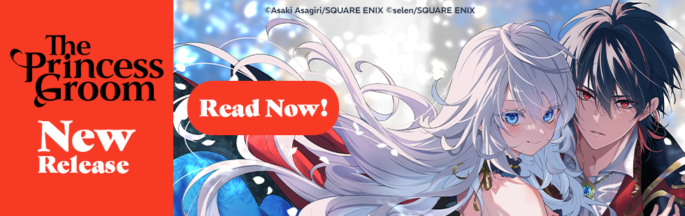 New Release - The Princess Groom