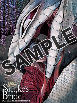 Special Bonus Illustration: The Great Snake's Bride, Vol.1