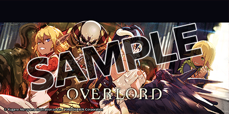 [Bookshelf Cover Image] Overlord, Vol. 10 (Light Novel)