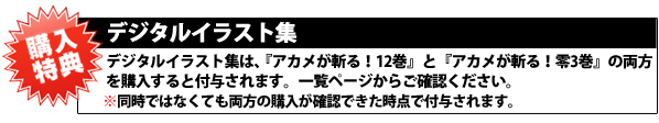 アカメが斬る 零 3巻 マンガ 漫画 タカヒロ 戸流ケイ ビッグガンガンコミックス 電子書籍試し読み無料 Book Walker