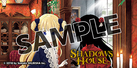 [Bookshelf Cover Image] Shadows House, Vol. 1