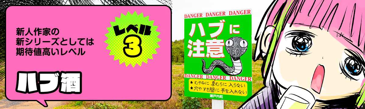 レベル3：三桁冊数超えたくらい