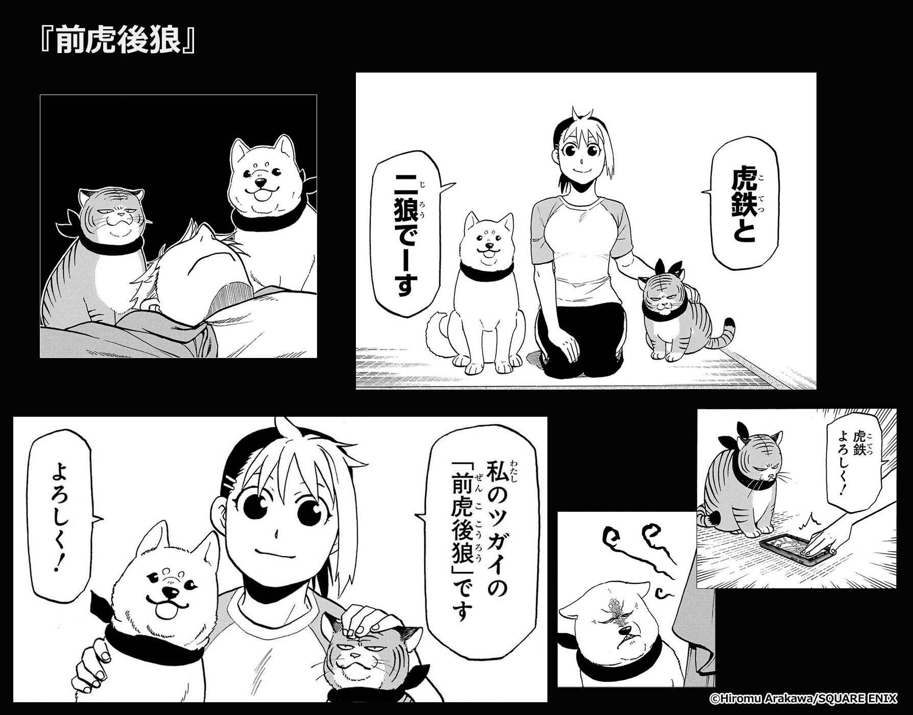 段野ハナのツガイ