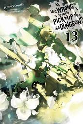 Is It Wrong to Pick Up Girls in a Dungeon? Light Novel