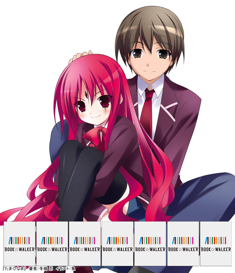 『たま◇なま～生物は、何故死なない？～』きせかえ本棚【購入特典】