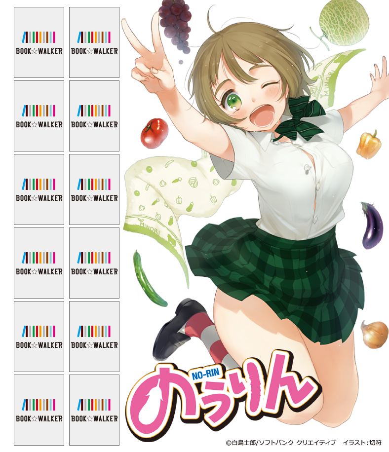 『のうりん２』きせかえ本棚【購入特典】