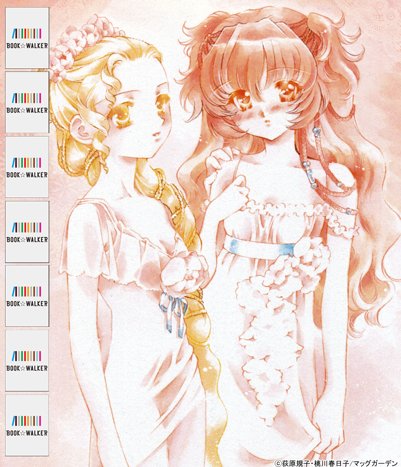 『 西の善き魔女　１巻』きせかえ本棚【購入特典】