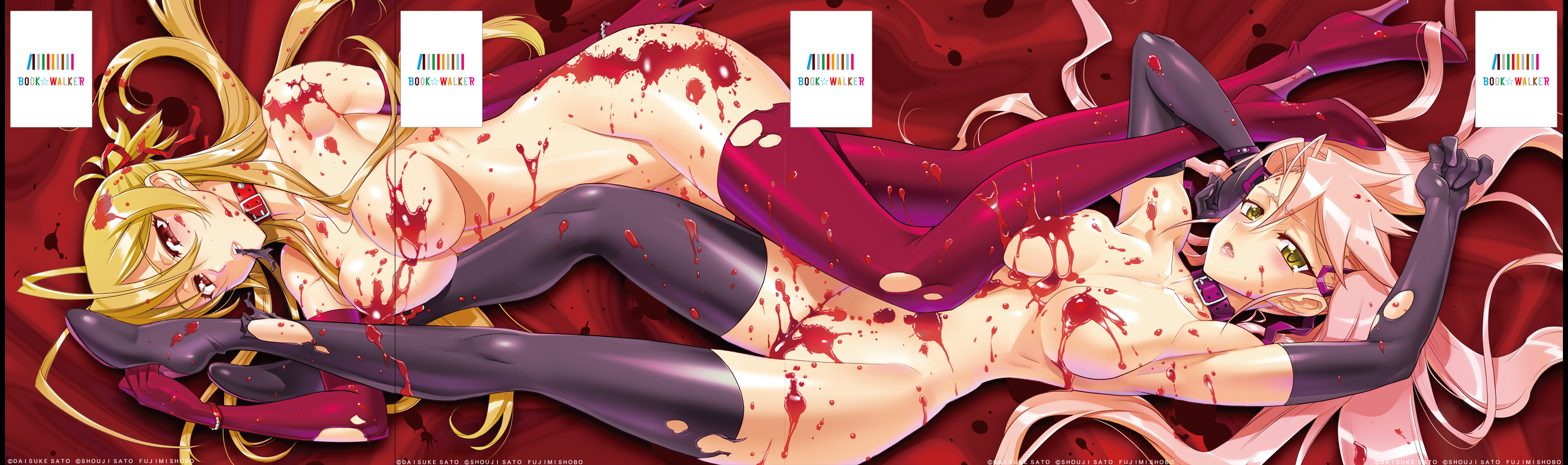 『学園黙示録 HIGHSCHOOL OF THE DEAD FULL COLOR EDITION(1)』きせかえ本棚【購入特典】