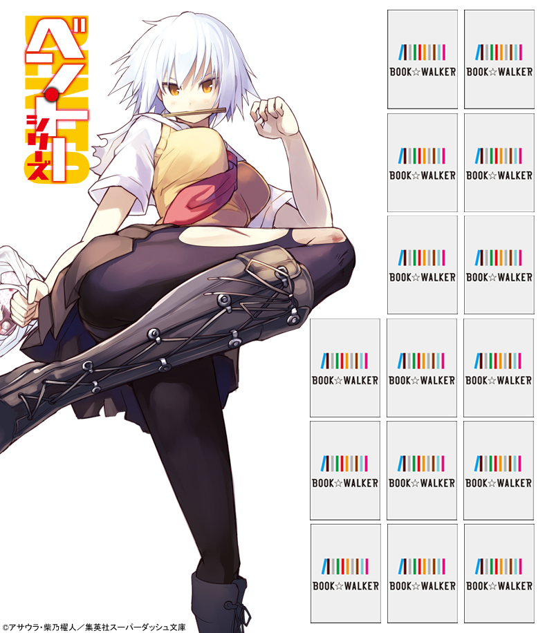 『ベン・トー　サバの味噌煮２９０円』きせかえ本棚【購入特典】