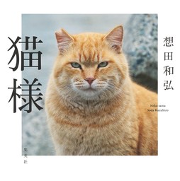 猫様