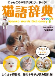 猫語辞典 オールカラー にゃんこのキモチがわかっちゃう！