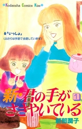 のんちゃんのり弁 ３ マンガ 漫画 入江喜和 モーニング 電子書籍試し読み無料 Book Walker